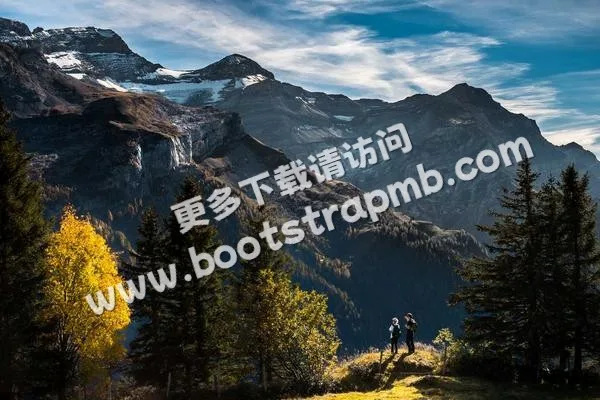 ⊞ Portfolio - c7娱乐