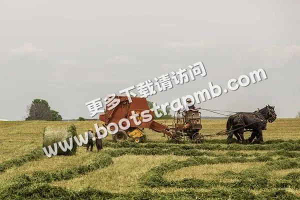 ⊞ Portfolio - c7娱乐